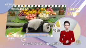色的网